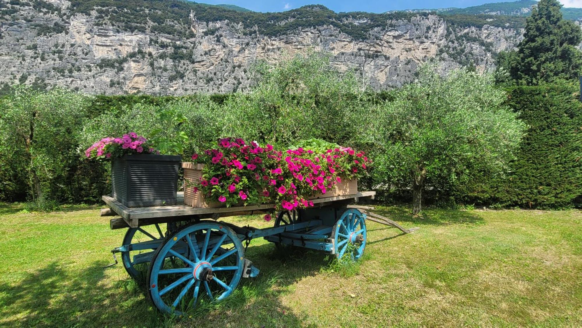 Agriturismo Vin E Amor Dro Εξωτερικό φωτογραφία